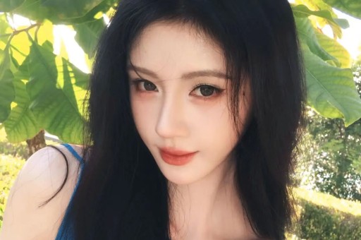 黄一鸣限高令：当流量网红遇上“想还钱却难赚钱”的法律困境